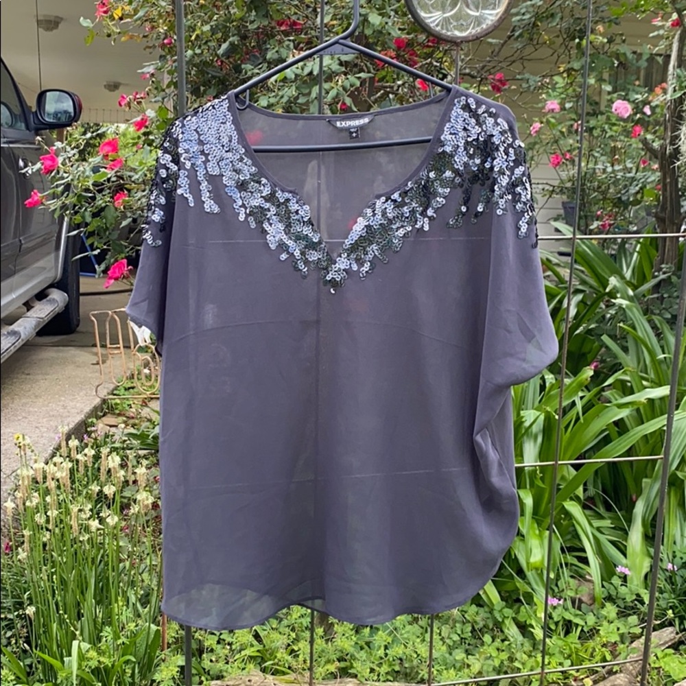 Express sheer top